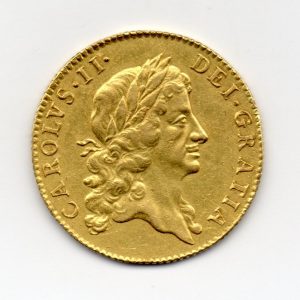 1665-guinea135